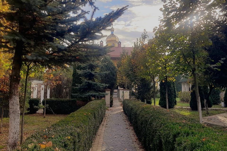 Сквер вільних людей – затишний громадський простір у Жидичині, оточений зеленню, з лавками для відпочинку.